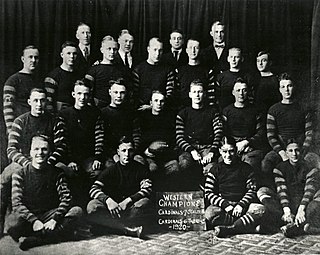 <span class="mw-page-title-main">1920 Chicago Cardinals season</span> American Professional Football Associations Cardinals inauguration