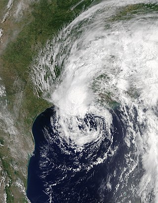 <span class="mw-page-title-main">Tropical Storm Cindy (2017)</span> Atlantic tropical storm in 2017