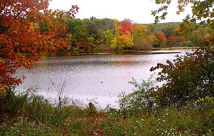 Clark's Pond, près du campus de la Quinnipiac University.