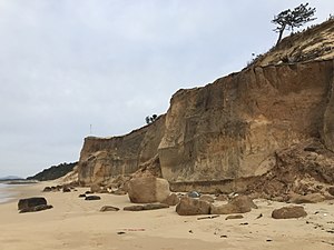 奈多海岸の崖