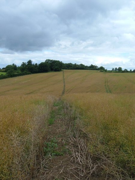 File:Countryside Footpath - geograph.org.uk - 891101.jpg