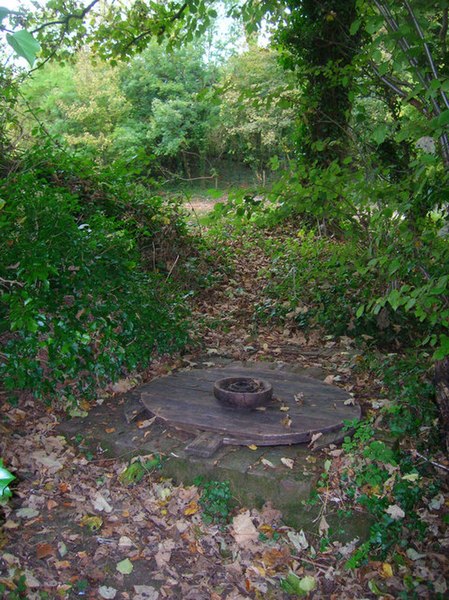 File:Covered Well near Lot's Pond - geograph.org.uk - 596299.jpg