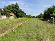 Demontierte Gleisanlagen und Bahnsteigkante im August 2011