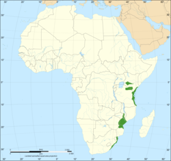 Distribución de la mamba verde oriental