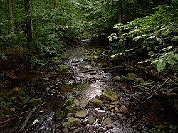 Der Holzbach, eine Naturschönheit.JPG