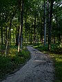 Image 681Des Plaines River Trail, Des Plaines, Illinois, US