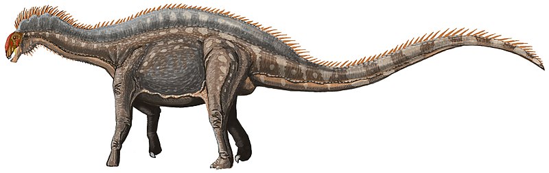 File:Dicraeosaurus hansemanni22.jpg