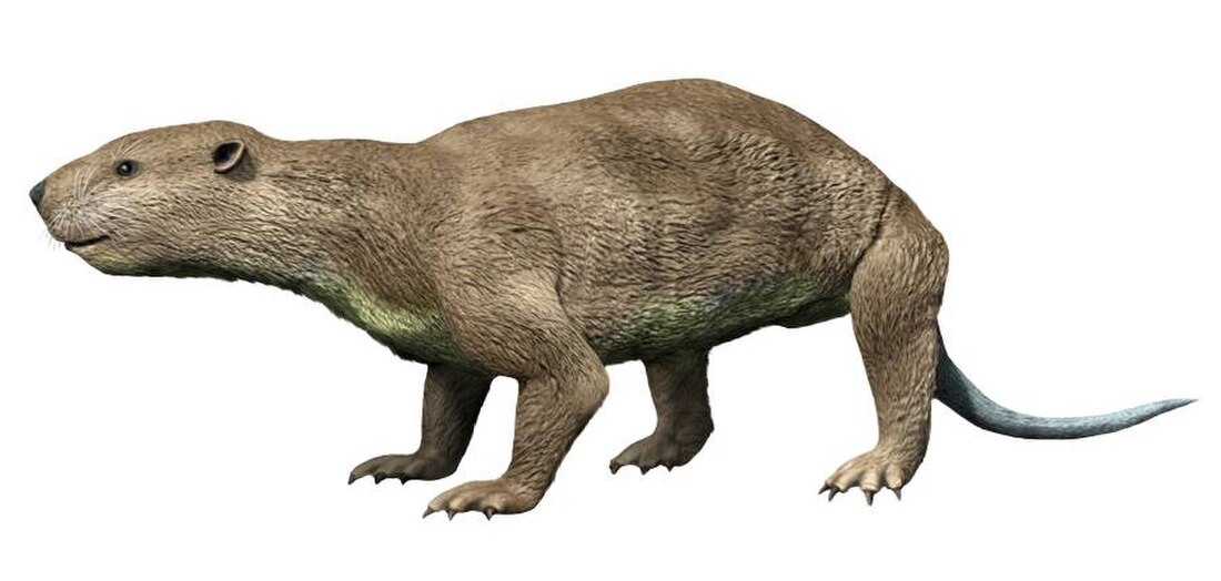 Didelphodon