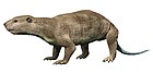 Didelphodon vorax