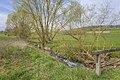 * Nomination Weisach river west of Todtenweisach --Plozessor 05:05, 5 February 2024 (UTC) * Promotion  Support Good quality.--Tournasol7 05:15, 5 February 2024 (UTC)