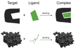 Thumbnail for Docking (molecular)