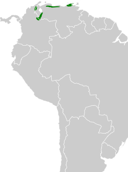 Distribución geográfica del tiluchí del Perijá.