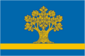پرچم دوبوفکا، استان ولگوگراد