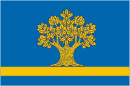 Dubovka flag (Volgograd region).png