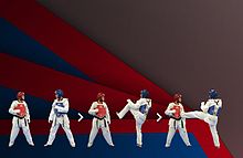 taekwondo front snap kick - Google Search