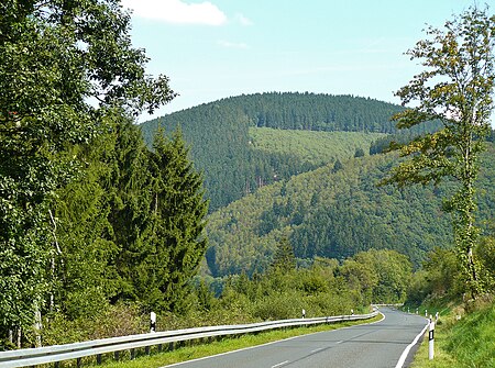 Eichholzkopf 1