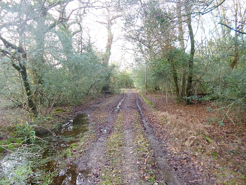 File:Emery Down, right of way - geograph.org.uk - 4305649.jpg