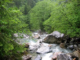 <span class="mw-page-title-main">Engelberger Aa</span> River in Switzerland