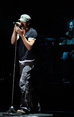 Enrique Iglesias en concierto, junio de 2008.