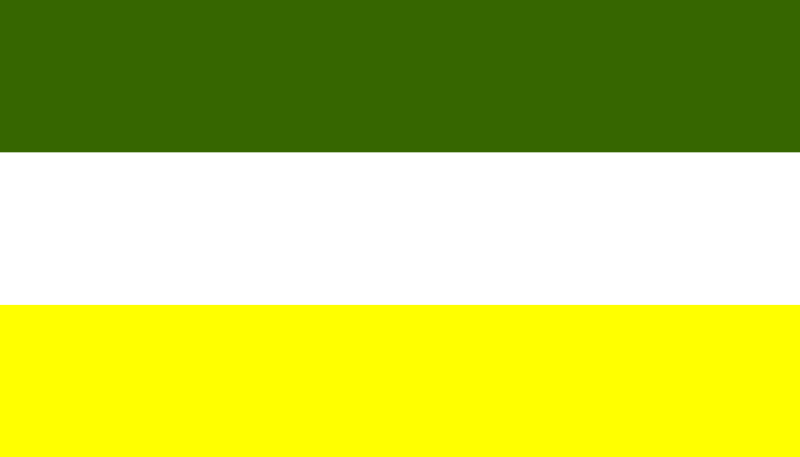 Ethnic Flag 24