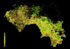 Índice De Integridad Del Paisaje Forestal