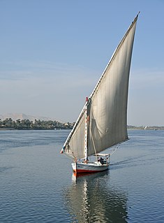 <span class="mw-page-title-main">Felucca</span> Type of boat