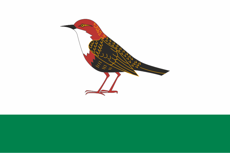 File:Flag of Birsk.svg