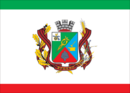 Bandera de Iartsevo