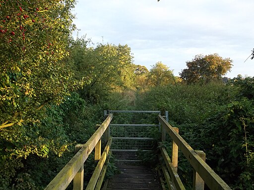 Footbridge on field path, Colne to Somersham, Hunts - geograph.org.uk - 4188145