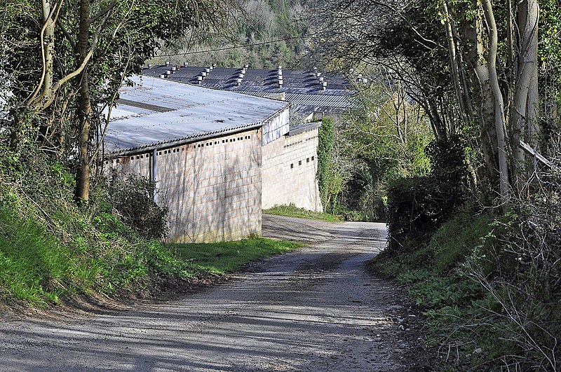 File:Footpath from English Bicknor to Lower Lydbrook - geograph.org.uk - 3935597.jpg