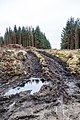 Forest operations on path at Southern Upland Way near Laggangarn - panoramio.jpg