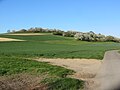 Der Forstberg im Frühling von Groß-Bieberau aus gesehen