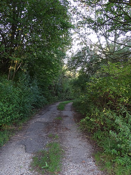 File:Forstweg.jpg