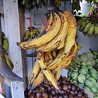 State Fruit of Central African Republic