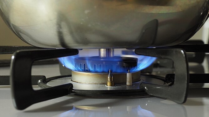 Gas cooking stove