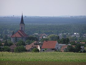 Gbely - catholic church - panoramio.jpg