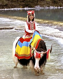 Una joven sonriente vestida con ropa colorida montando un yak, con borlas de colores en los cuernos, cruzando un vado