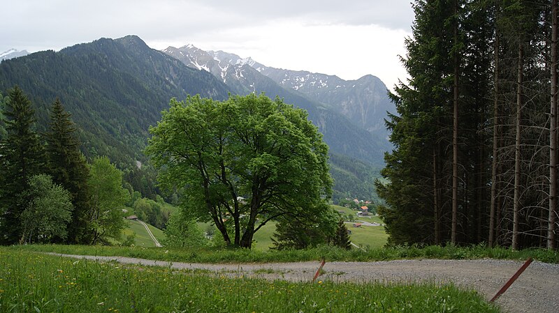 File:Gnalp-Schwarzhorn-Grauspitz-Falknishorn-02ASD.jpg