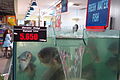Live fresh gourami for sale in a supermarket in Jakarta