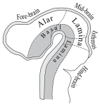 Neue Vektorgrafik