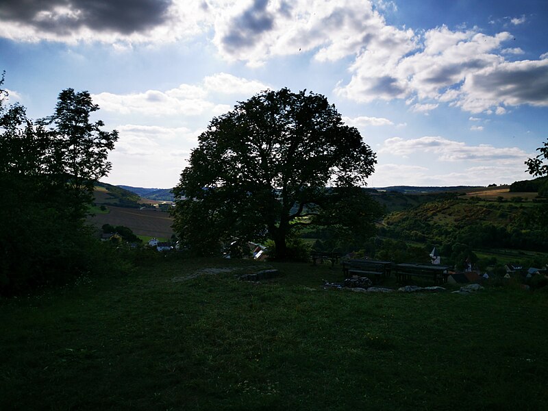 File:Grillplatz mit Aussicht auf Sachsenflur.jpg