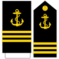 Guardiamarina Marina de Guerra Dominicana (Mango y Pala).svg