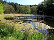 Fischteich im Hütter Wohld bei Ivendorf (ÜV)