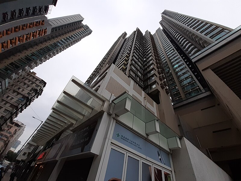 File:HK SSP 深水埗 Sham Shui Po 醫局街 Yee Kuk Street near 桂林街 北河街 December 2020 SS2 02.jpg