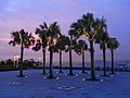 HK Sai Ying Pun Dr Sun Yat-Sen Memorial Park evening trees sky July-2012.JPG