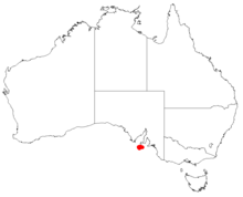 Hakea aenigmaDistMap4.png