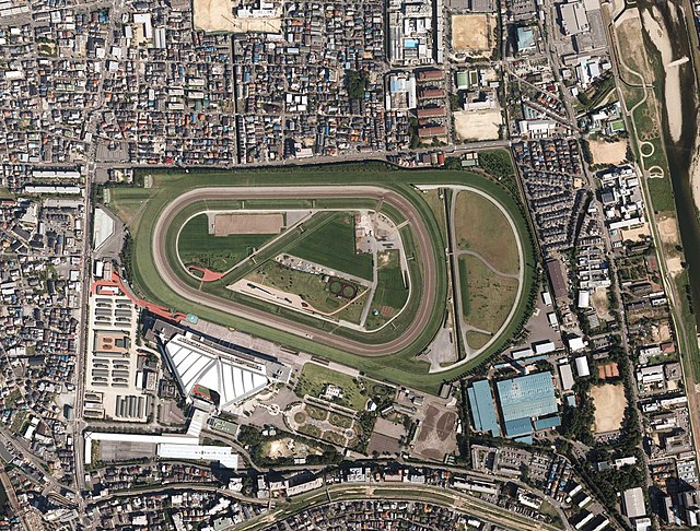 Aerial Photograph of the Hanshin Racecourse in 2012 by the National Land Image Information (Color Aerial Photographs)