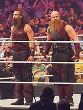 The Bludgeon Brothers at WrestleMania 34 Harper&Rowan WM34 crop.jpg