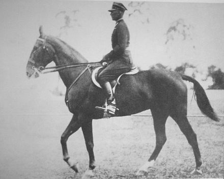 Henryk Leliwa-Roycewicz sur son cheval Arlekin III lors de jeux olympiques de 1936 à Berlin, médaille d'argent par équipes en concours complet.