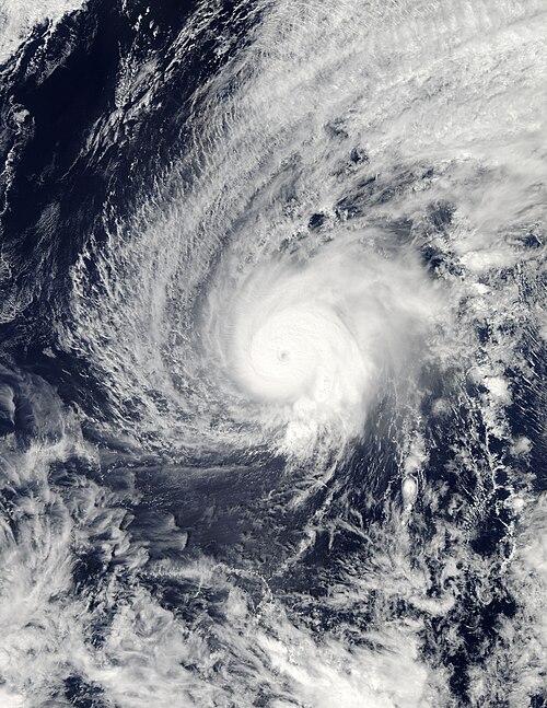 2015 Pacific typhoon season